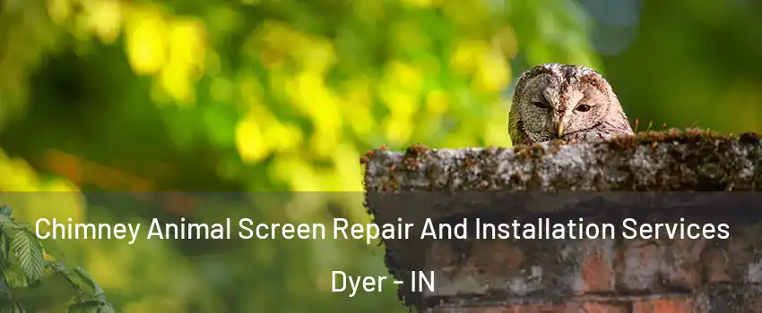 Chimney Animal Screen Repair And Installation Services Dyer - IN
