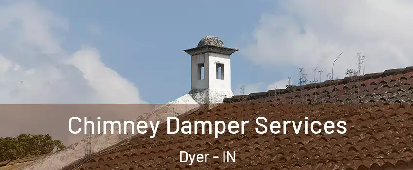  Chimney Damper Services Dyer - IN