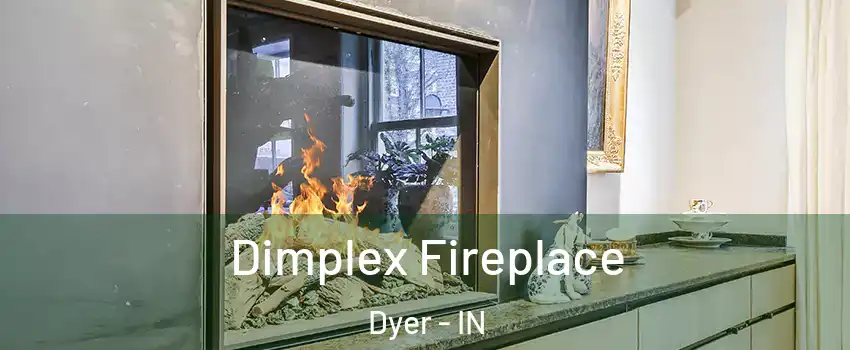 Dimplex Fireplace Dyer - IN