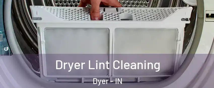  Dryer Lint Cleaning Dyer - IN