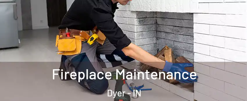  Fireplace Maintenance Dyer - IN