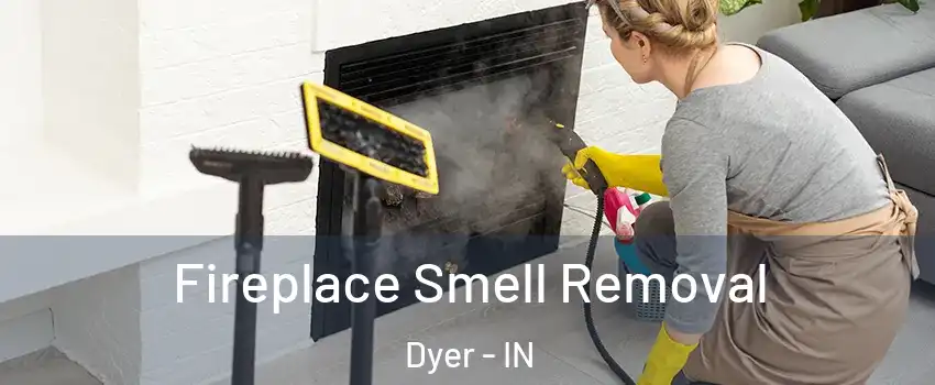  Fireplace Smell Removal Dyer - IN