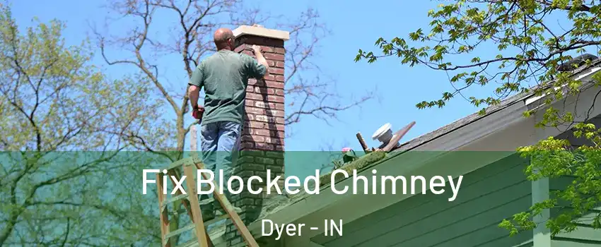 Fix Blocked Chimney Dyer - IN