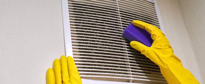 Vent Cleaning Company in Dyer, IN
