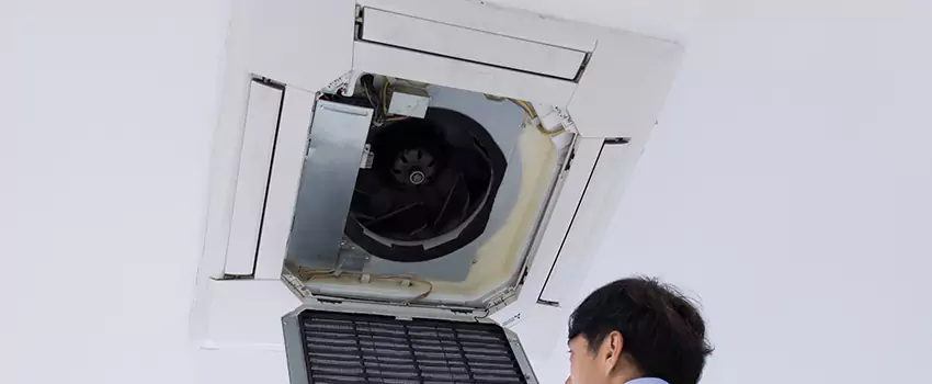 Benefits of Professional Air Duct Cleaning in Dyer, Indiana