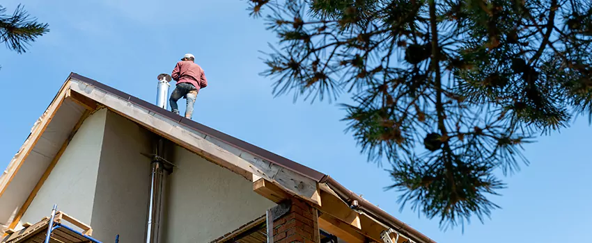 Birds Removal Contractors from Chimney in Dyer, IN