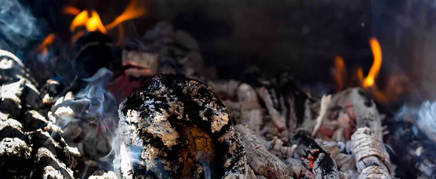 Creosote Removal Experts in Dyer, IN