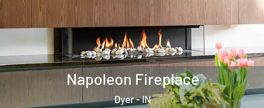  Napoleon Fireplace Dyer - IN