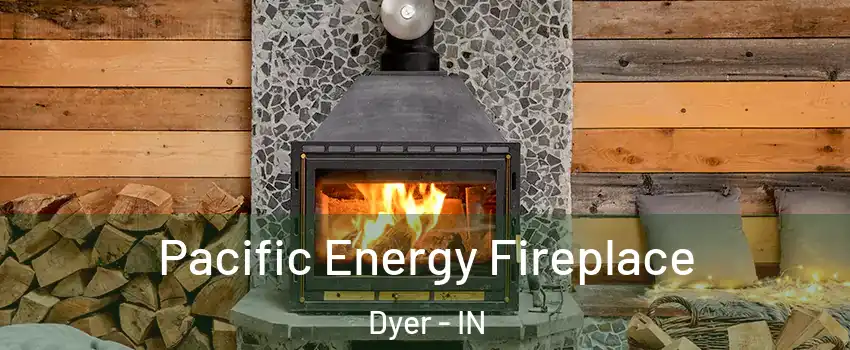 Pacific Energy Fireplace Dyer - IN